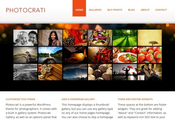 photocrati-theme-wordpress-pour-photographes-artistes